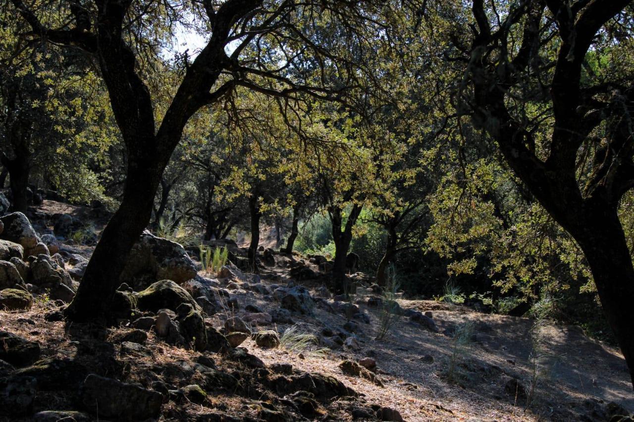La Costanilla De Los Angeles Navalcan Екстериор снимка